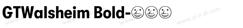 GTWalsheim Bold字体转换 GTWalsheim Bold字体转换
